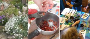 Atelier pigments naturels
