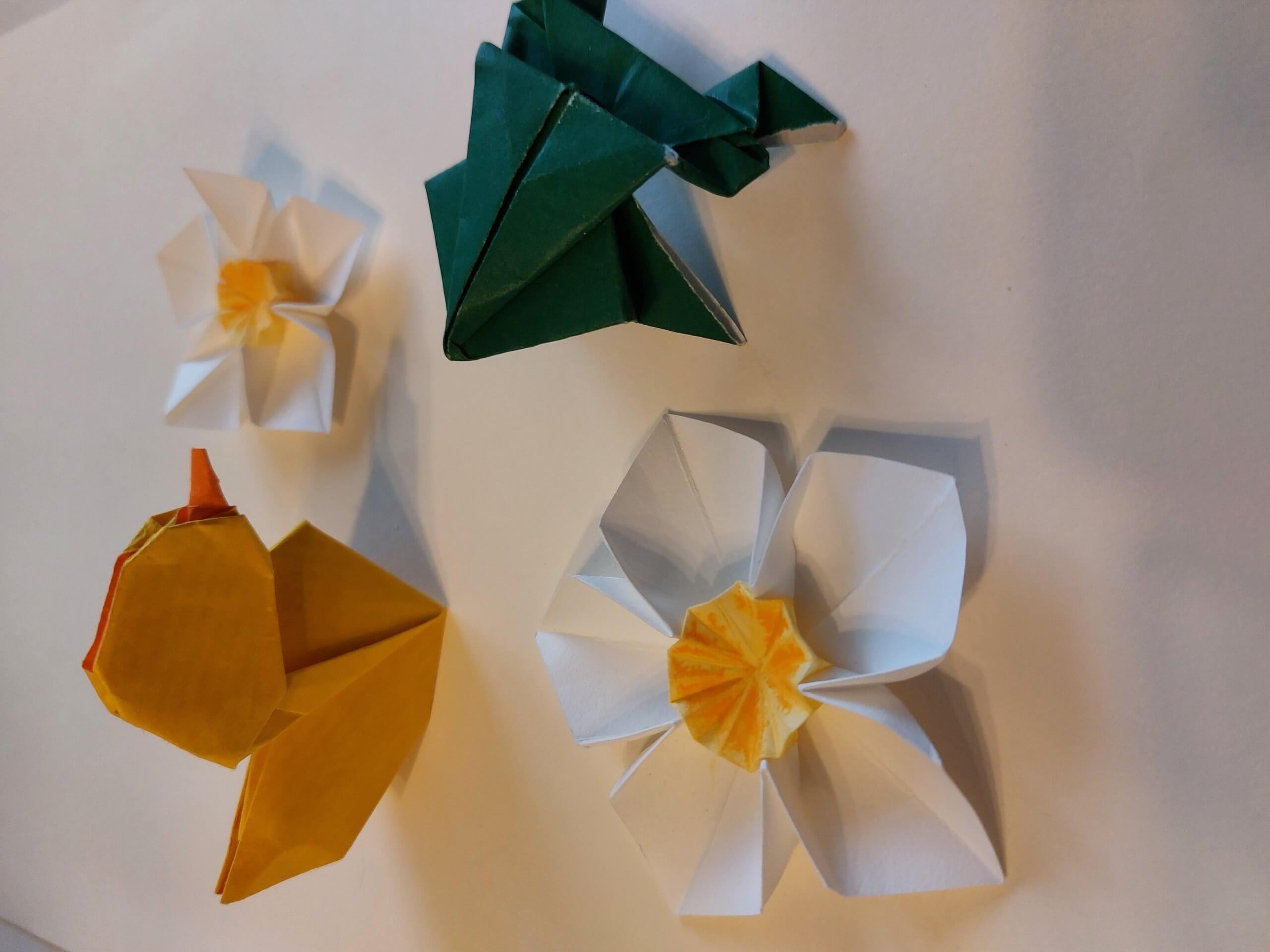 Ateliers Adultes – Atelier origami